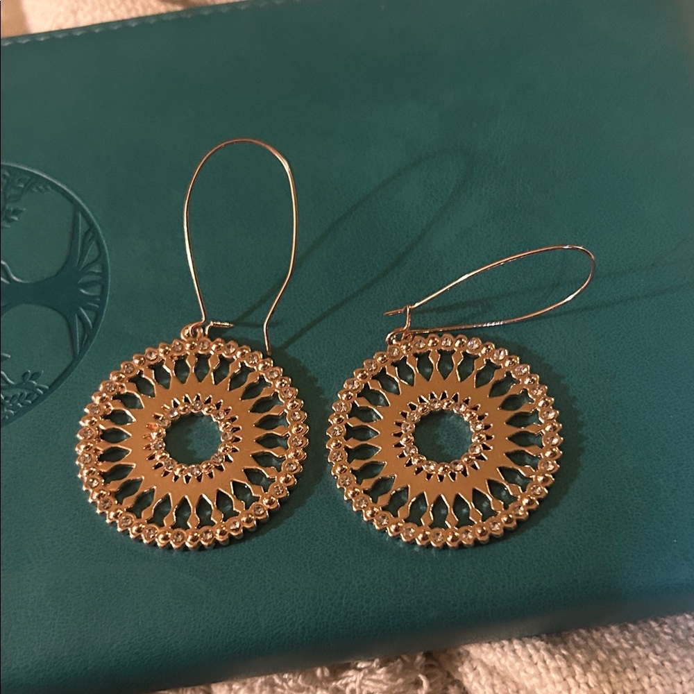 Elegant  Rose Gold Hoop Earrings